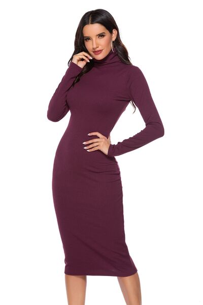 Ribbed Turtleneck Long Sleeve Dress